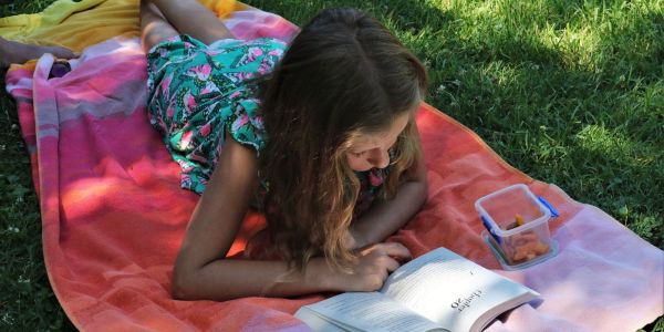 Our Priorities | To enhance the accessibility and value of education for all Langley school district students. | 9 girl in pink dress reading book on green grass during daytime